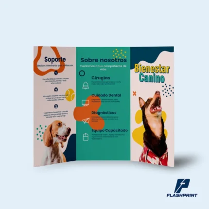 alt="Tríptico corporativo impreso en papel couche con diseño a full color"