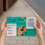 Tríptico - Imagen 2