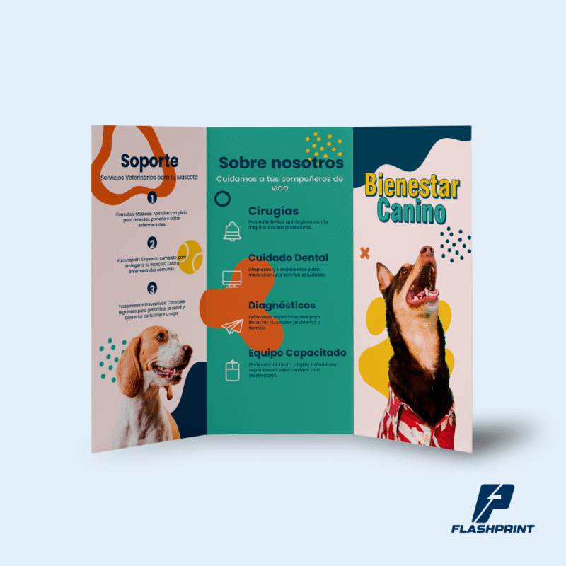 alt="Tríptico corporativo impreso en papel couche con diseño a full color"